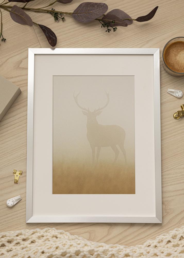 Πλαίσιο Trendy Ακρυλικό γυαλί Ασήμι 61x91,5 cm