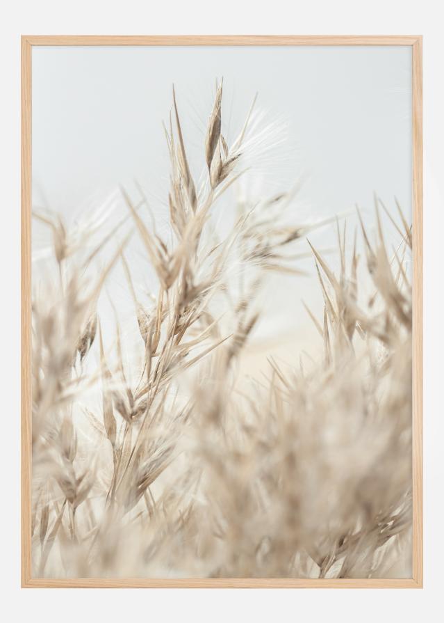 Dried Up l Αφίσα