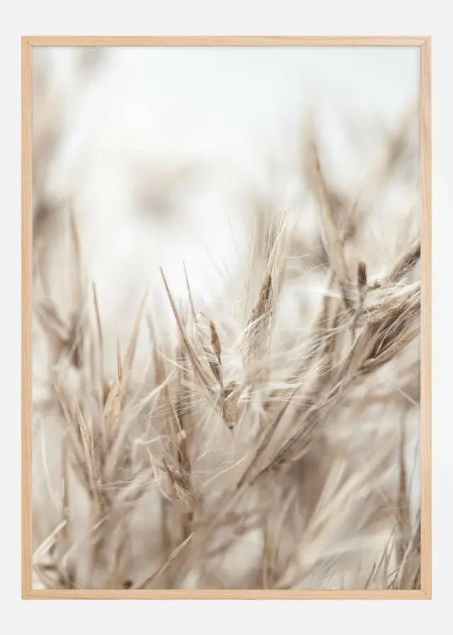 Dried Up ll Αφίσα