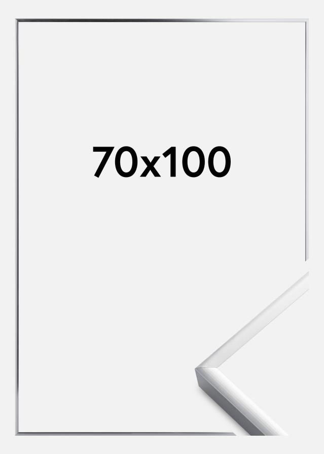 Πλαίσιο Αφίσα Frame Aluminum Ακρυλικό γυαλί Ασημί 70x100 cm