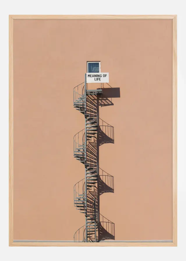 Meaning of life Αφίσα