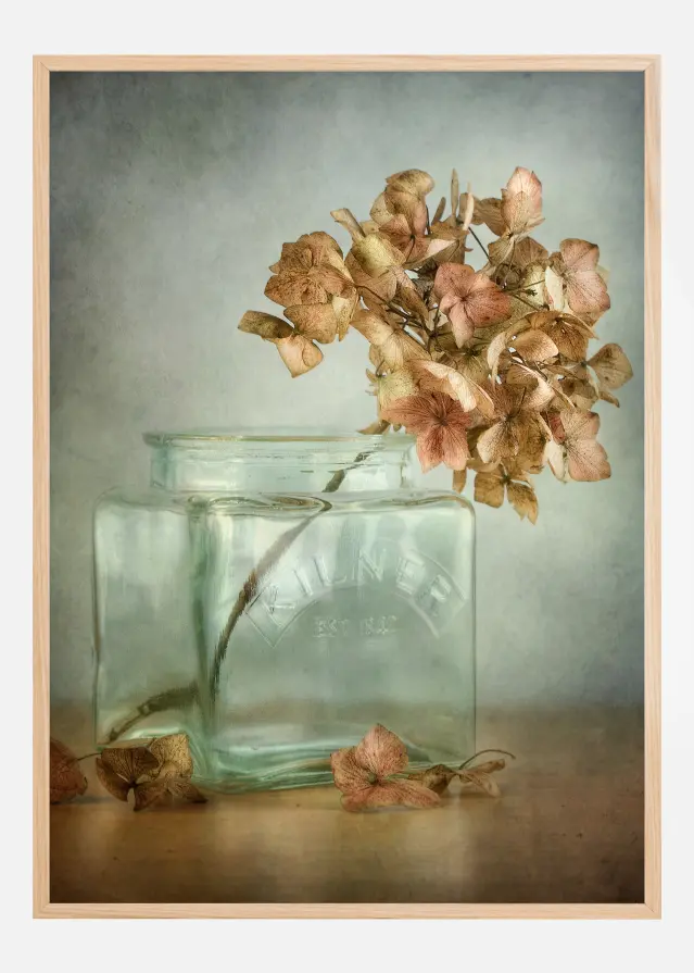 Hydrangea Αφίσα