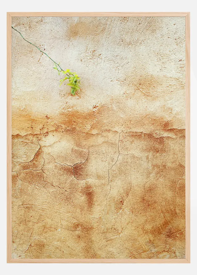 Cracked wall Αφίσα