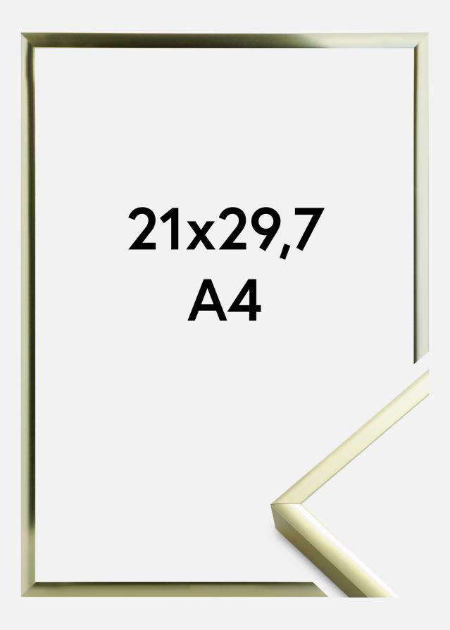 Πλαίσιο Αφίσα Frame Aluminum Gold 21x29,7 cm (A4)