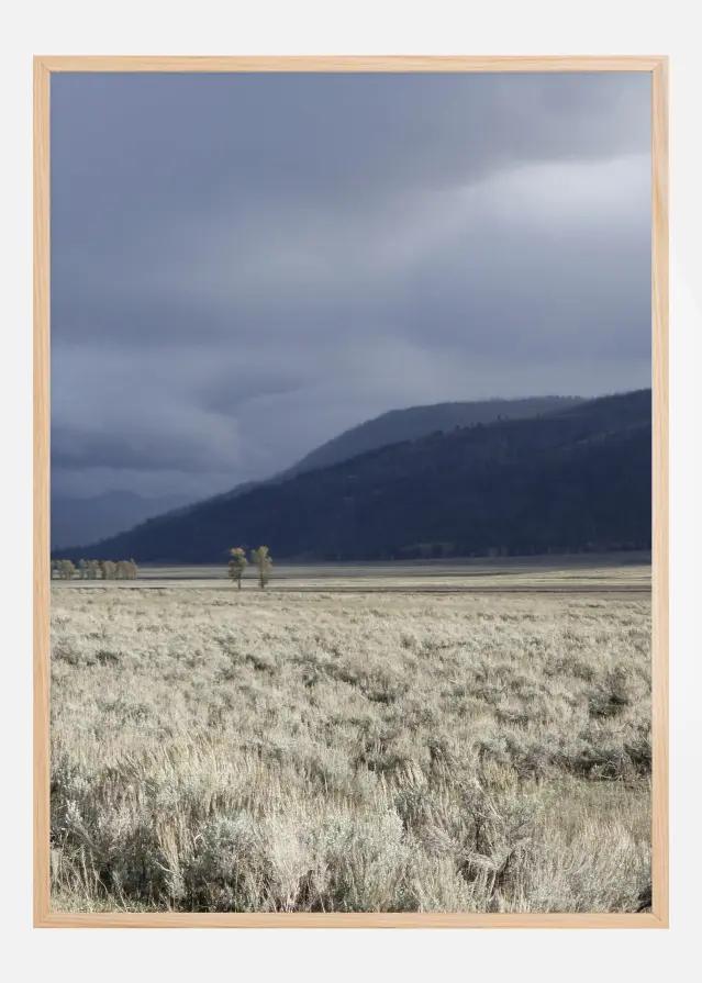 Storm Is Coming Αφίσα