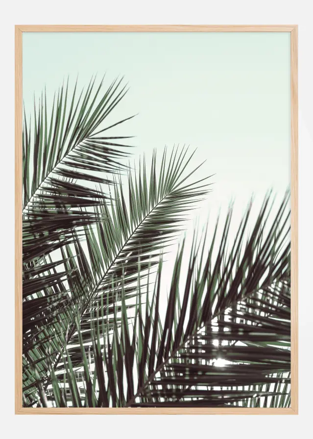Palm leaves sky Αφίσα