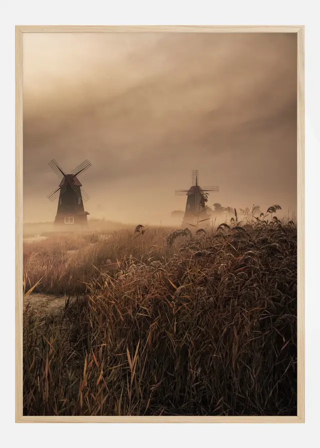 A Fascinating Morning Αφίσα