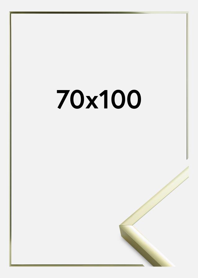 Πλαίσιο Αφίσα Frame Aluminum Ακρυλικό γυαλί Gold 70x100 cm