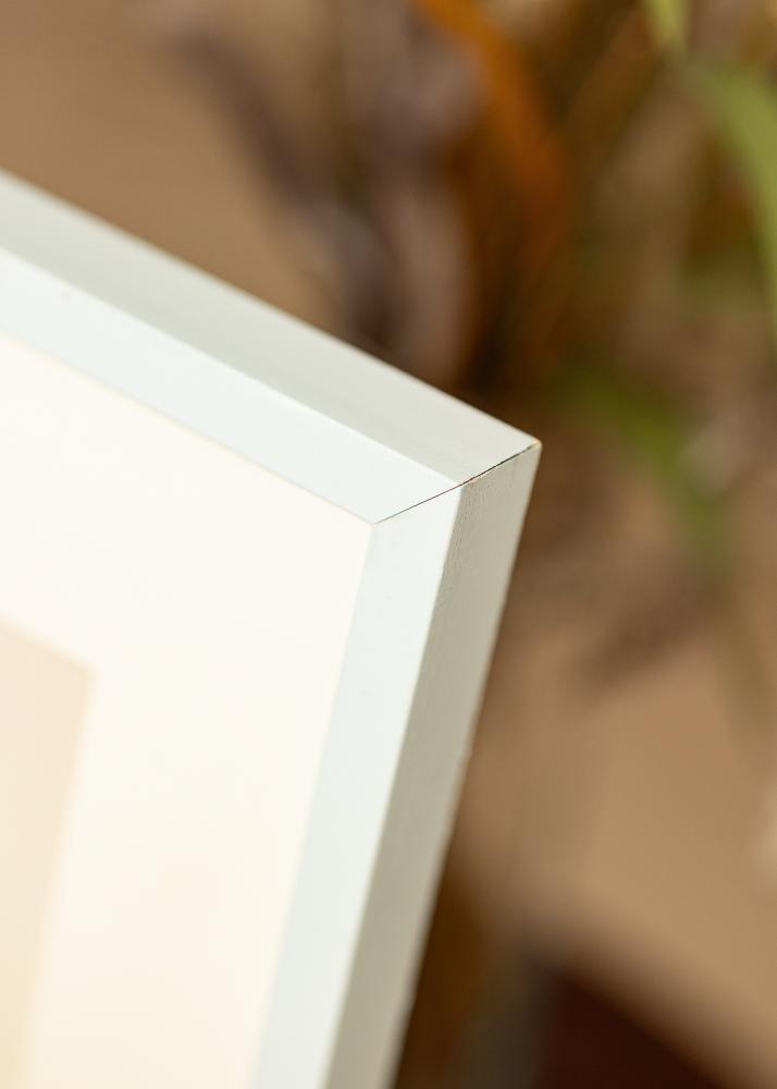 Colorful Ακρυλικό γυαλί Τυρκουάζ 50x50 cm