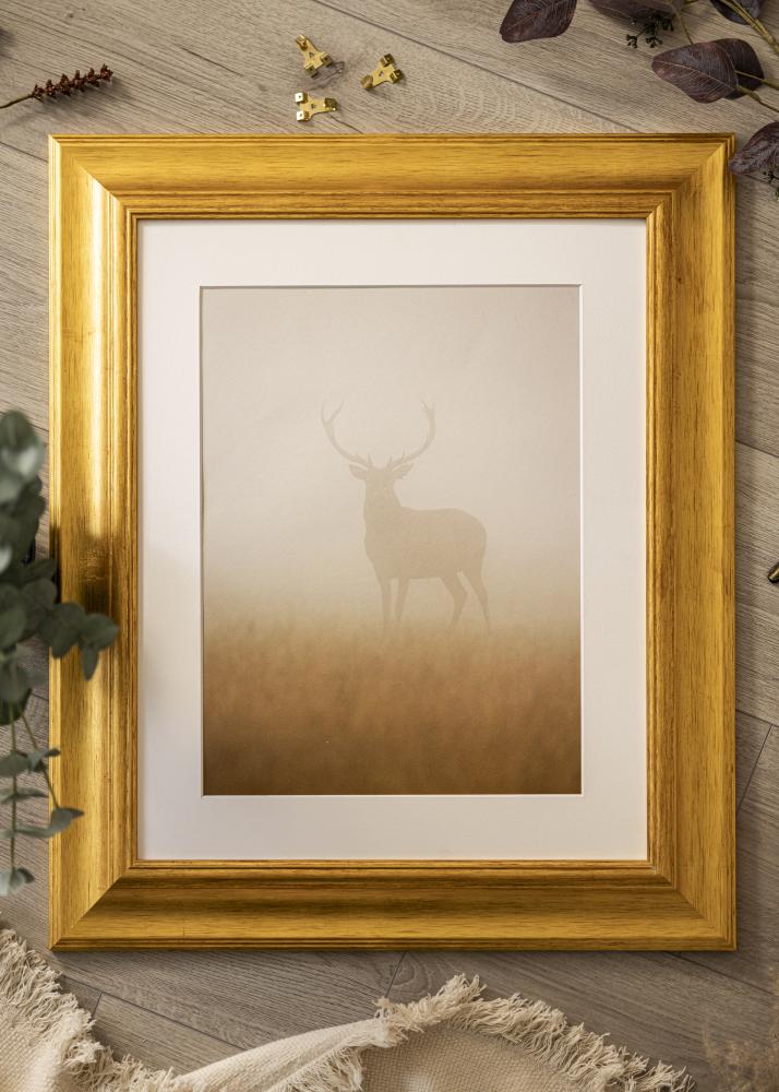 Πλαίσιο Belfast Φως Χρυσός - Επιλογή μεγέθους