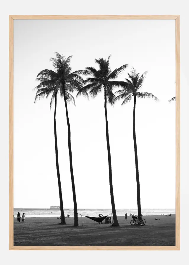 Black And White Palm Trees Αφίσα