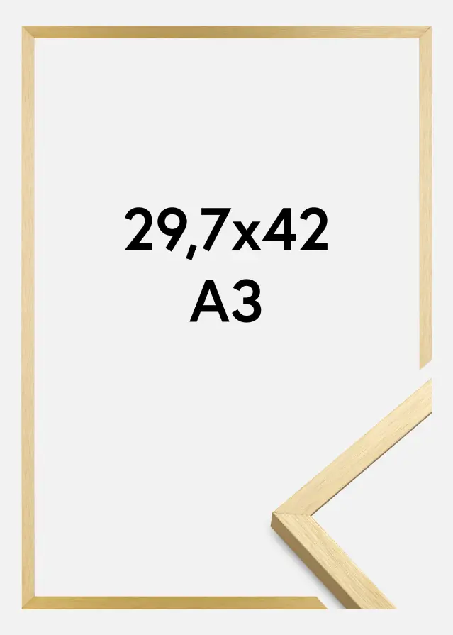 Πλαίσιο Chair Χρυσός 29,7x42 cm (A3)