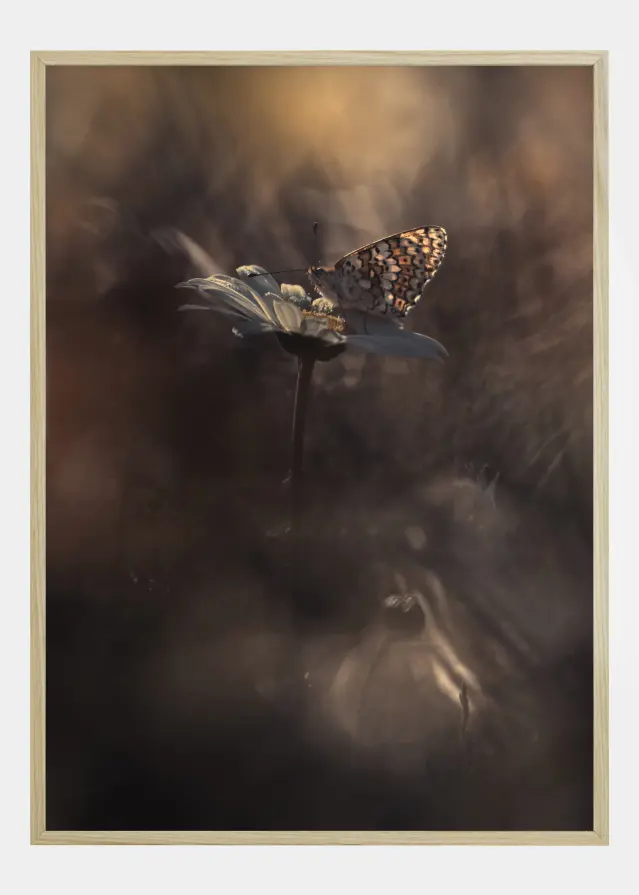 Pyrotechnics Αφίσα