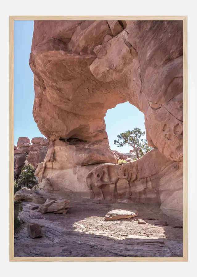 In The Desert Αφίσα