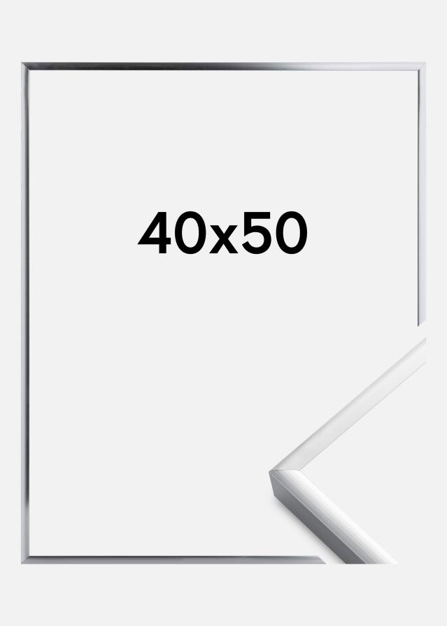 Πλαίσιο Αφίσα Frame Aluminum Ασημί 40x50 cm