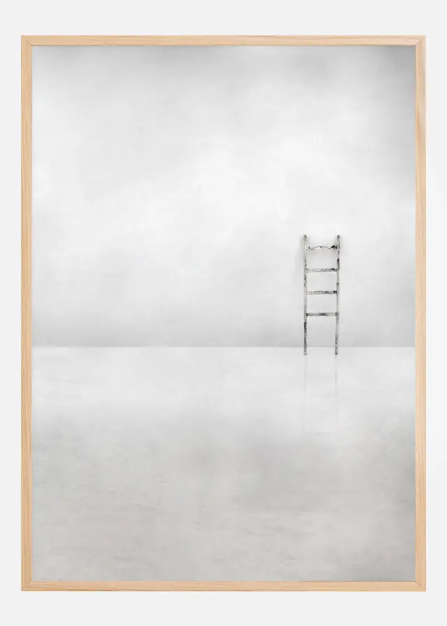 The social ladder Αφίσα