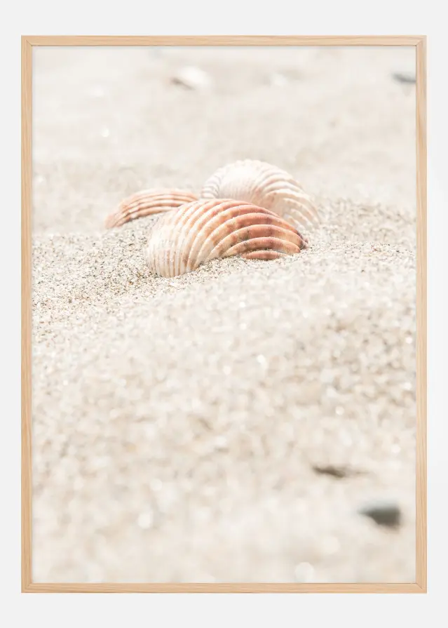 Seashell beach Αφίσα
