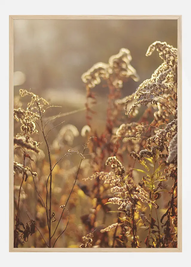 Summer Evening Αφίσα