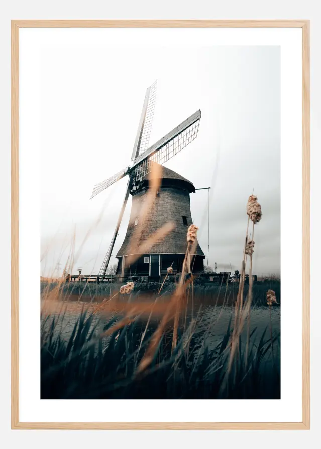 Dutch Windmill Αφίσα