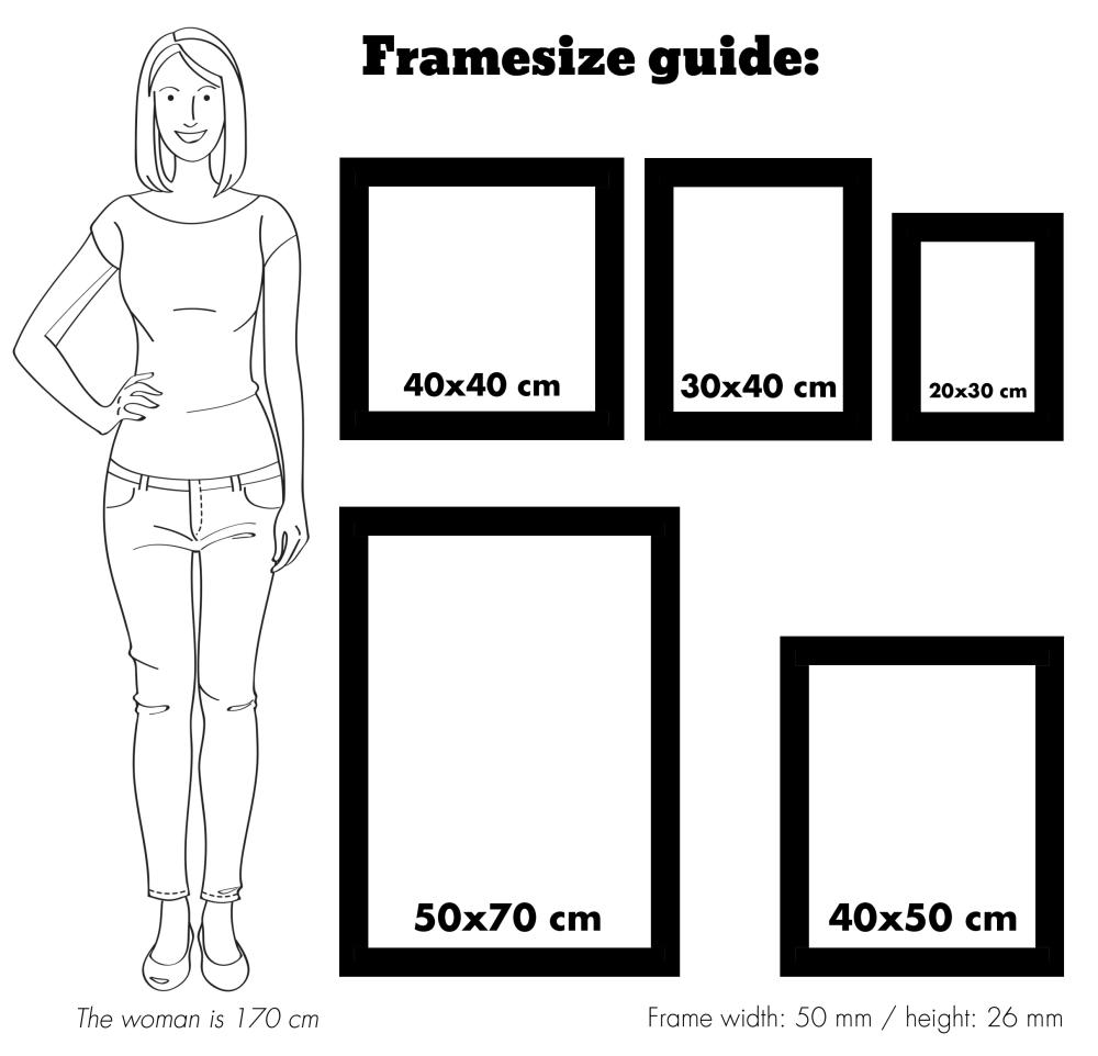Πλαίσιο Ροκοκό Ασημί 40x50 cm