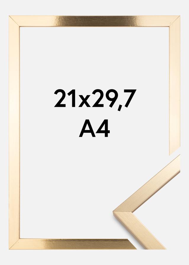 Πλαίσιο Trendy Χρυσός 21x29,7 cm (A4)