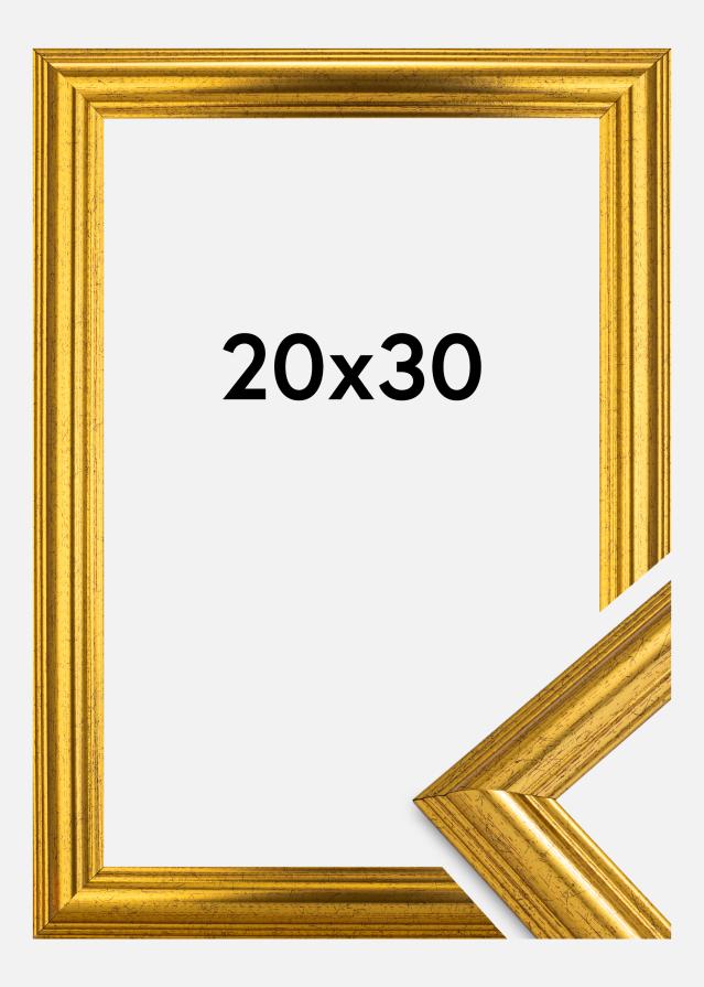Πλαίσιο Västkusten Χρυσός 20x30 cm