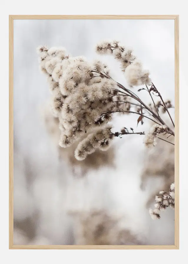 Winter Is Coming Αφίσα