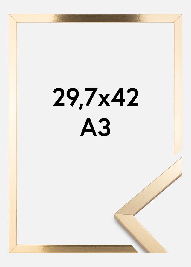 Πλαίσιο Trendy Χρυσός 29,7x42 cm (A3)
