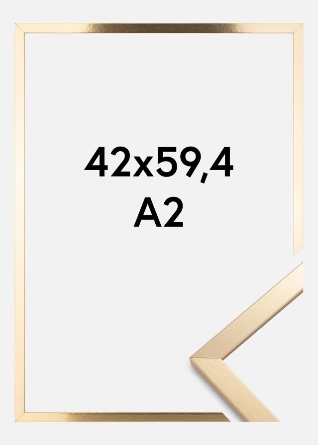 Πλαίσιο Trendy Χρυσός 42x59,4 cm (A2)