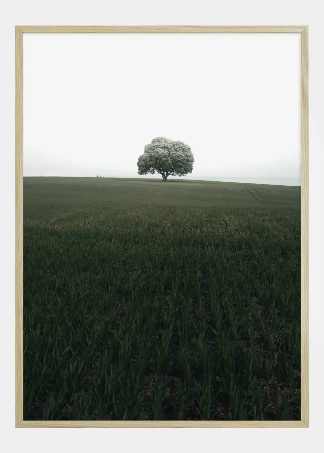 The lonely oak tree Αφίσα