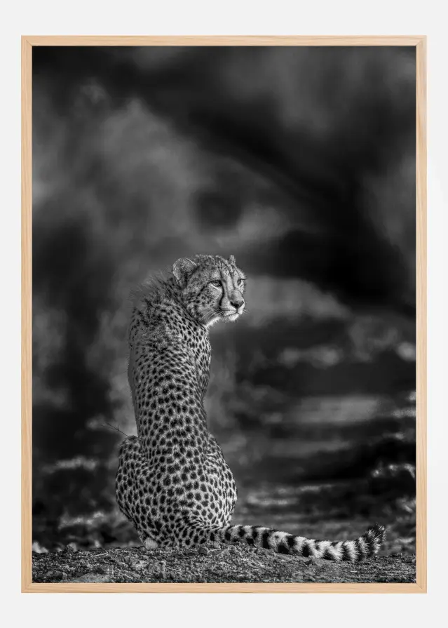 The look back Αφίσα