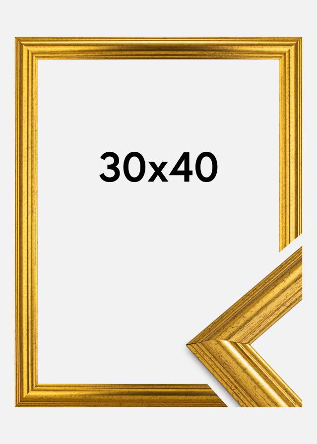 Πλαίσιο Västkusten Χρυσός 30x40 cm