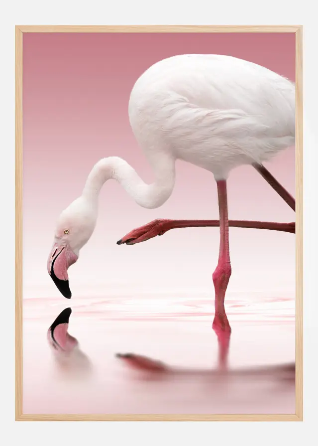 Flamingo Αφίσα