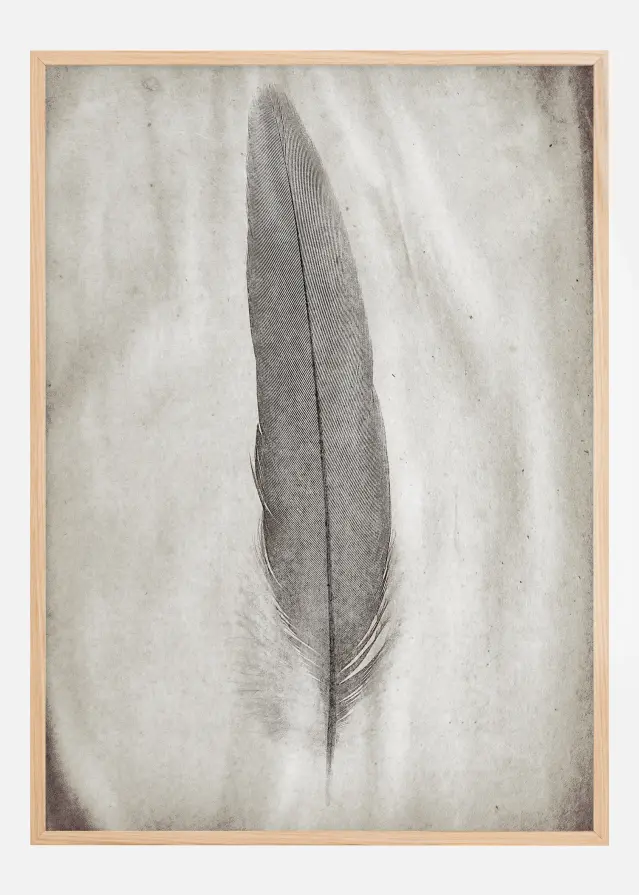 Aquarelle Feather Αφίσα