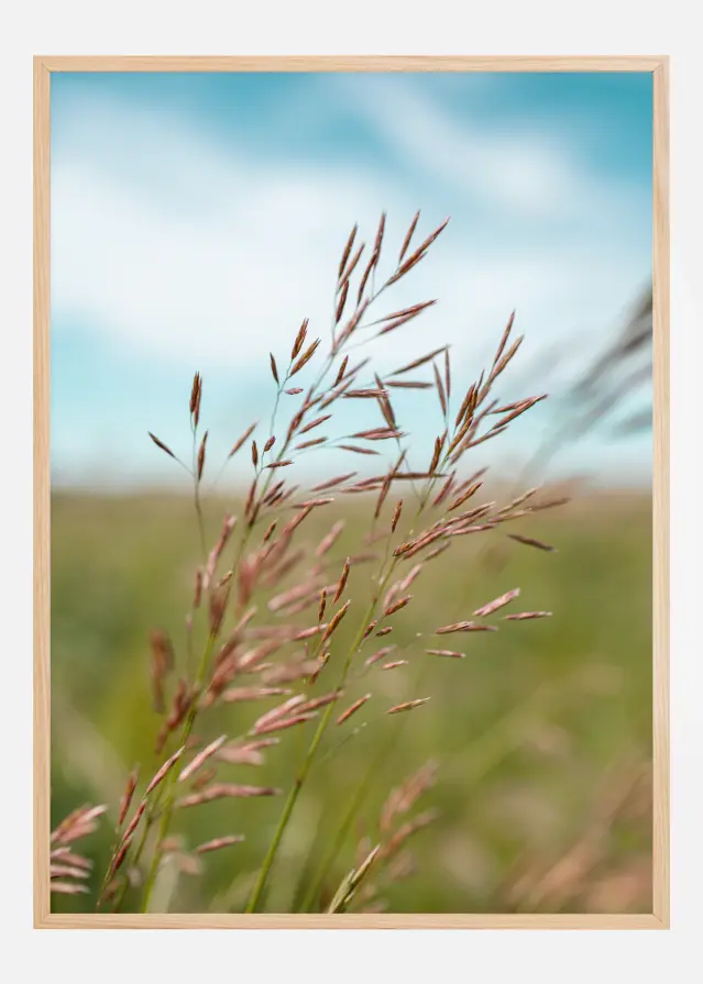 Summerday Αφίσα