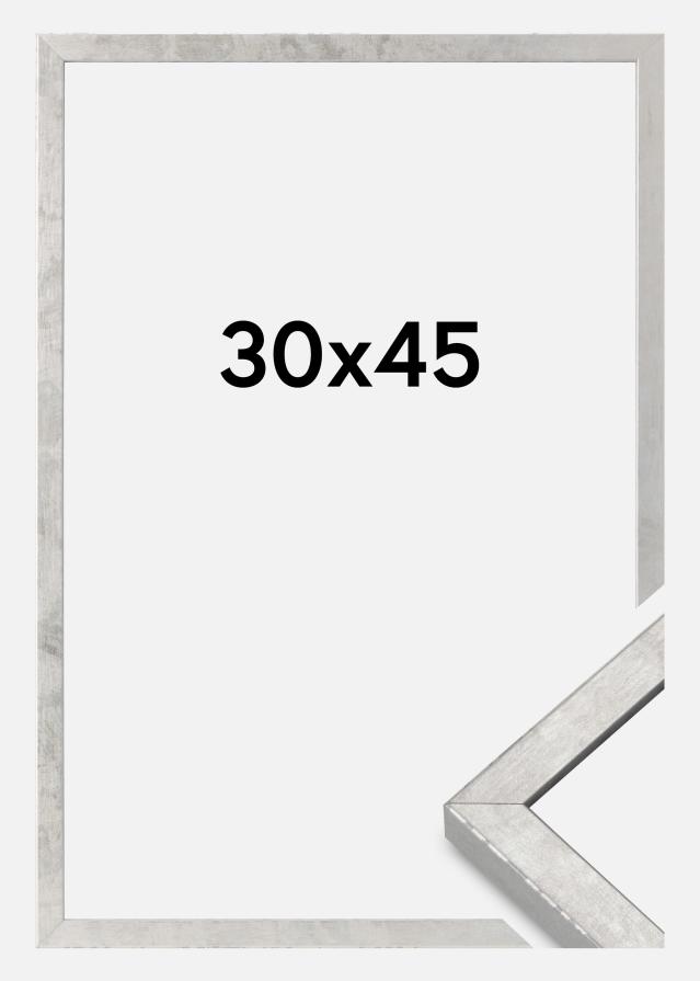 Πλαίσιο Ares Ακρυλικό γυαλί Ασημί 30x45 cm