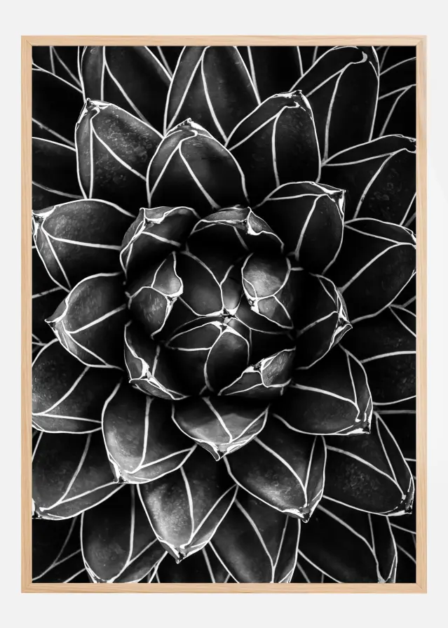 Natural math Αφίσα