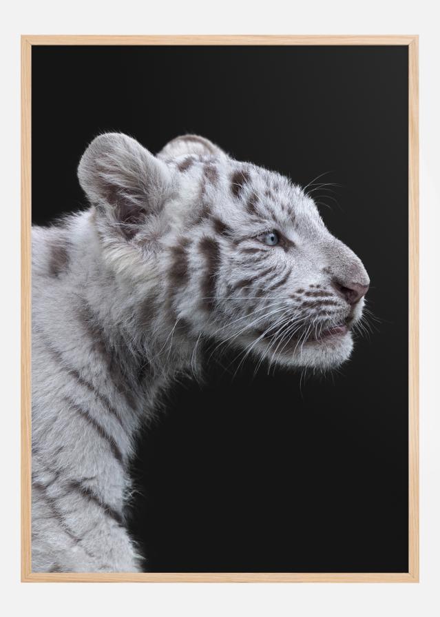 White tiger Αφίσα