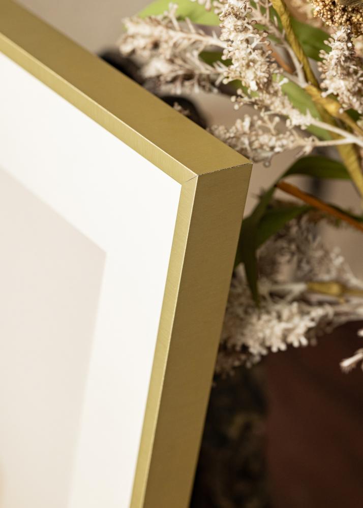 Πλαίσιο Nielsen Premium Alpha Καθαρισμένη Χρυσός - Επιλογή μεγέθους