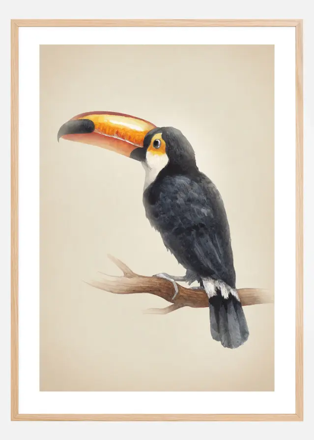 Tropical Toucan Αφίσα
