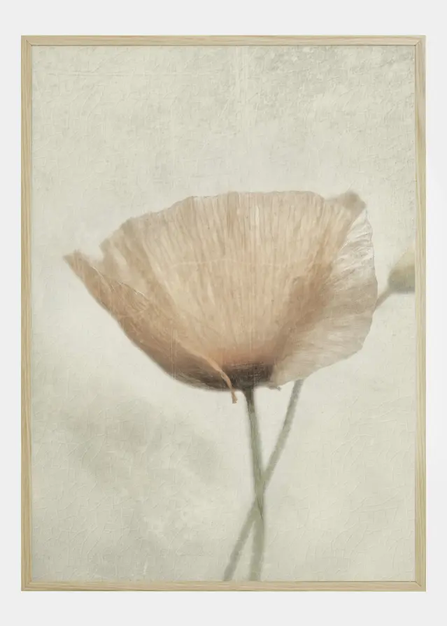 Jewel Of Nature Αφίσα