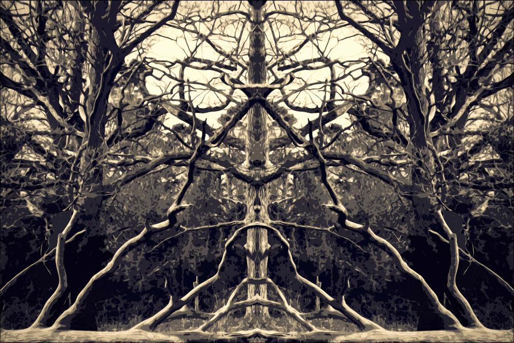 Brushwood Αφίσα