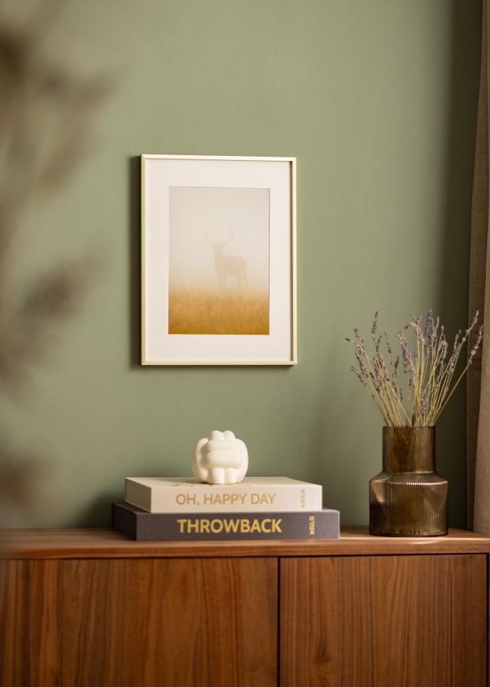 Πλαίσιο Nielsen Premium Alpha Καθαρισμένη Χρυσός - Επιλογή μεγέθους