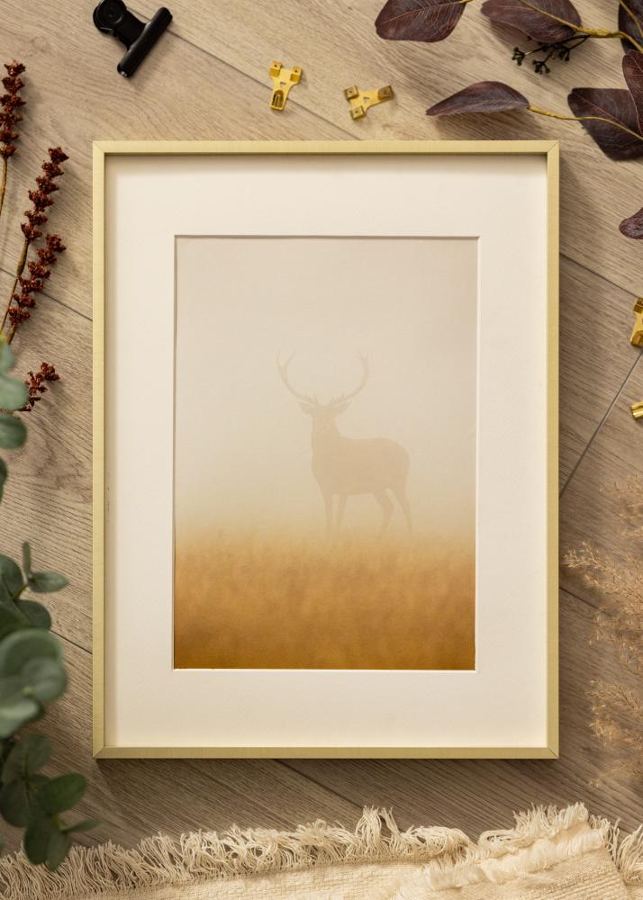 Πλαίσιο Nielsen Premium Alpha Καθαρισμένη Χρυσός - Επιλογή μεγέθους