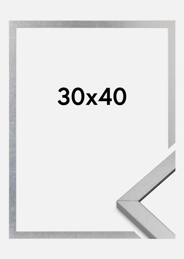 Πλαίσιο Minerva Ακρυλικό γυαλί Ασημί 30x40 cm