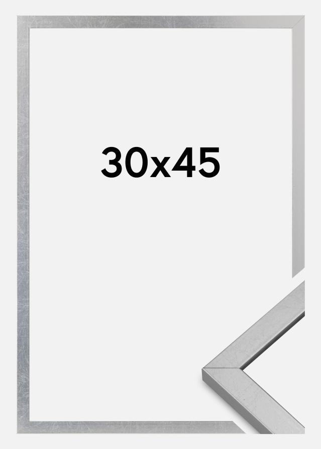 Πλαίσιο Minerva Ακρυλικό γυαλί Ασημί 30x45 cm