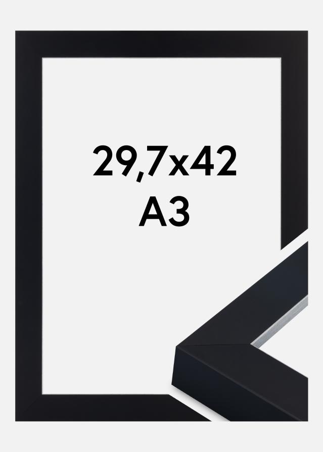 Πλαίσιο Sussex Ακρυλικό γυαλί Μαύρο/Ασημί 29.7x42 cm (A3)