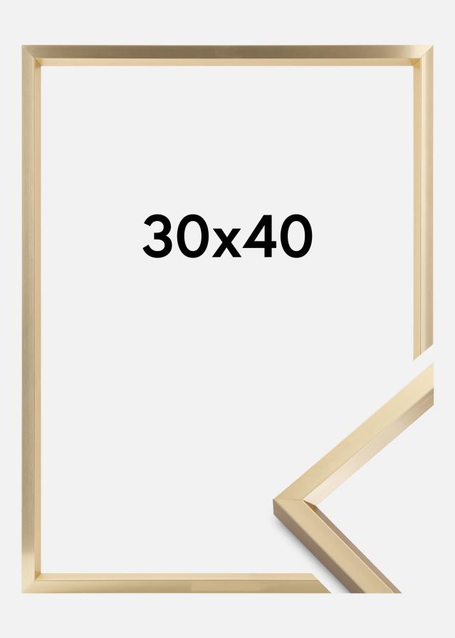 Πλαίσιο Steel Style Χρυσός 30x40 cm