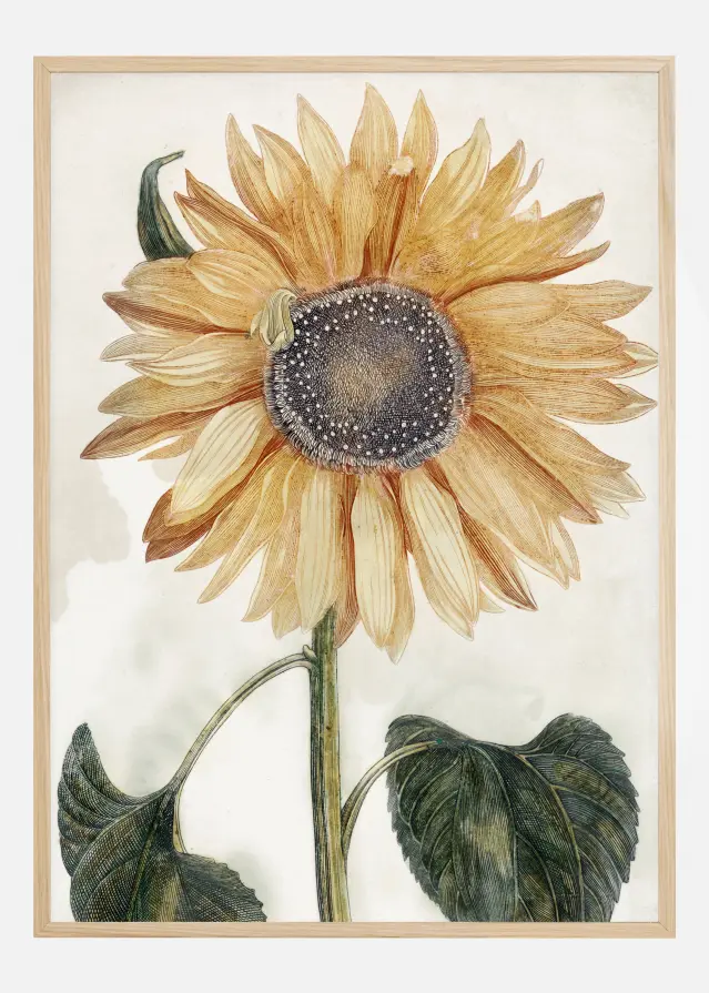 Sunflower Art Αφίσα