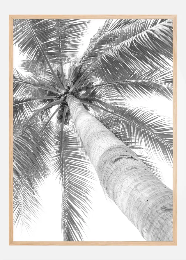 Black and white palmtree Αφίσα